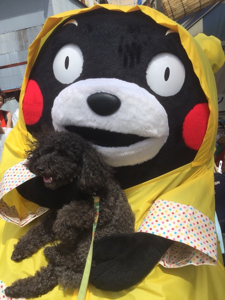 第87回せともの祭 140.JPG